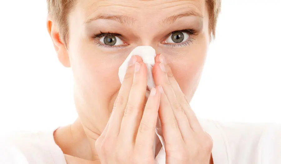 Sneeze