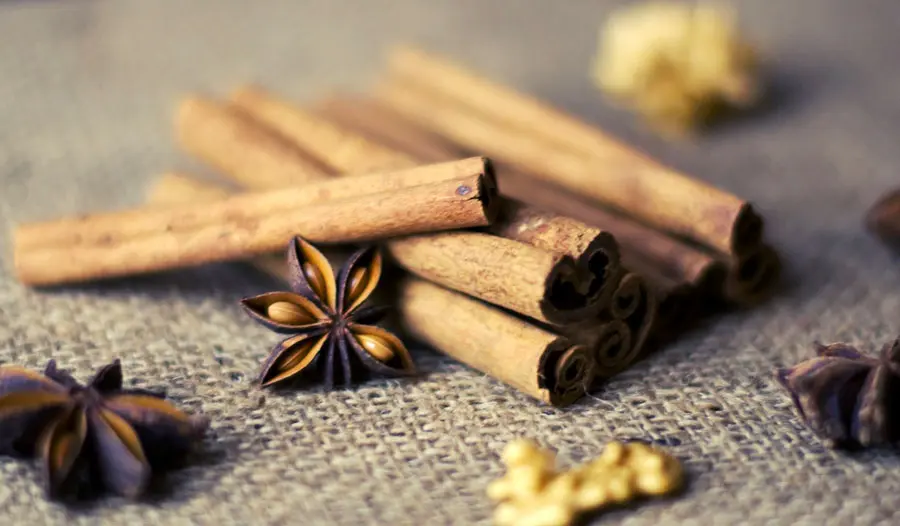 Cinnamon can improve learning